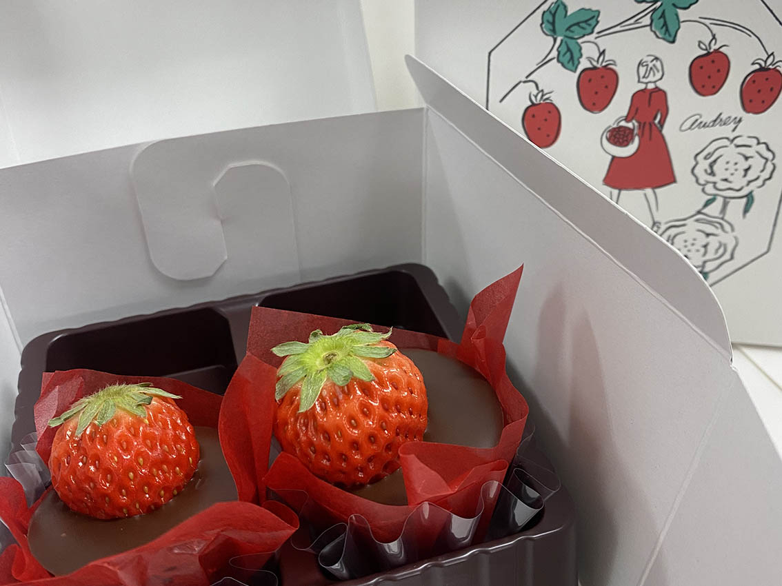 オードリーのチョコ写真01