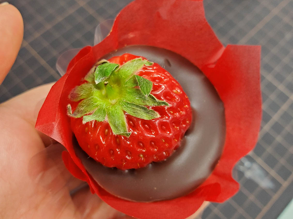 オードリーのチョコ写真02